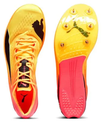 evoSpeed Long Distance Elite Track & Field Shoes Orange / Red